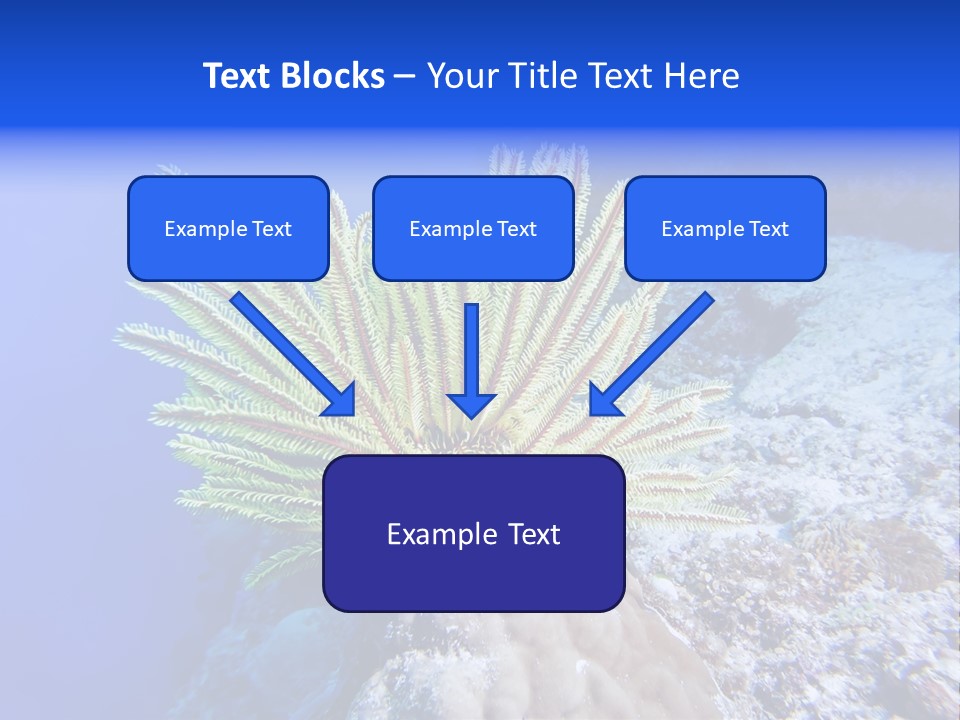 Undersea Colorful Soft PowerPoint Template