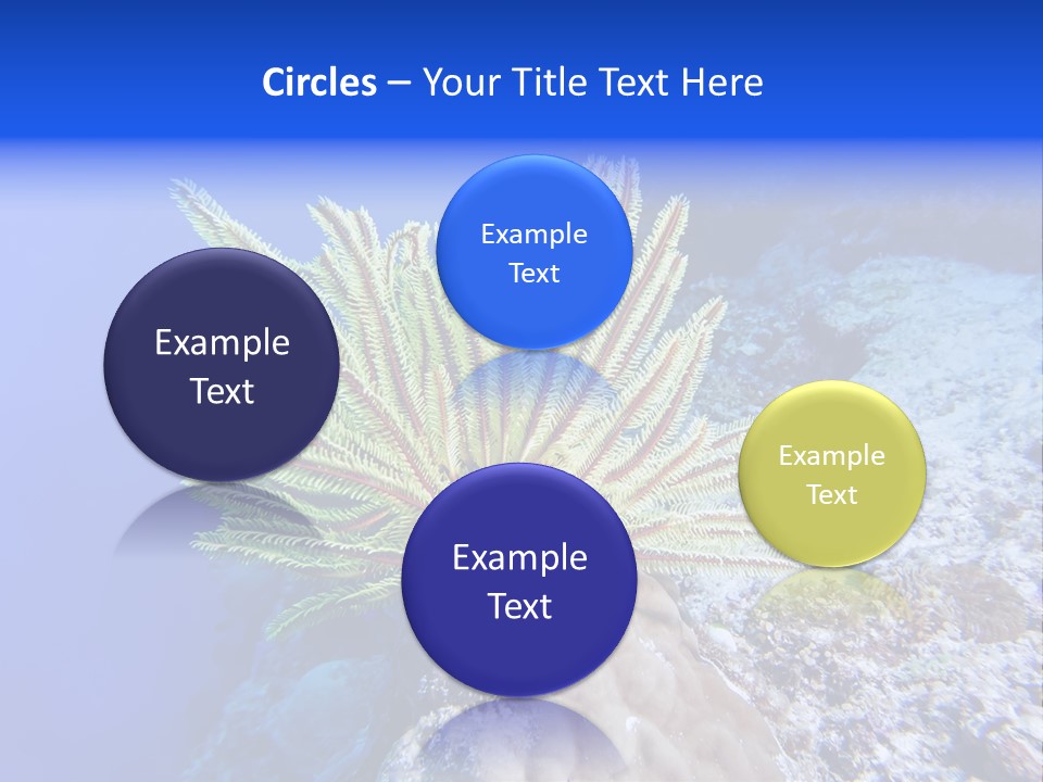 Undersea Colorful Soft PowerPoint Template