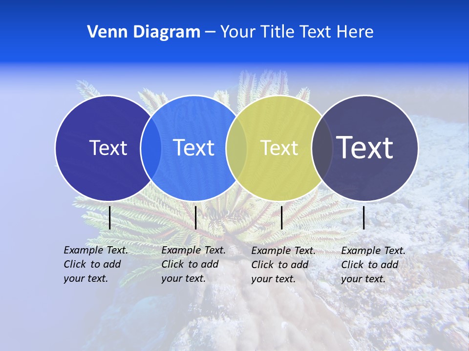 Undersea Colorful Soft PowerPoint Template