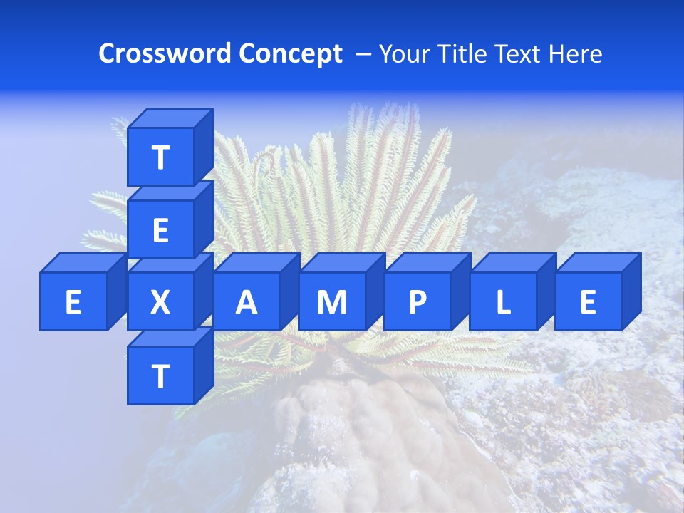 Undersea Colorful Soft PowerPoint Template