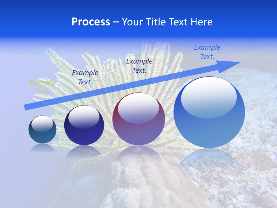 Undersea Colorful Soft PowerPoint Template
