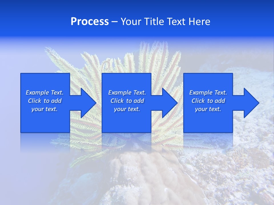 Undersea Colorful Soft PowerPoint Template
