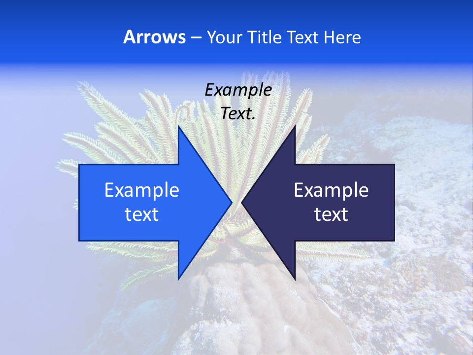 Undersea Colorful Soft PowerPoint Template