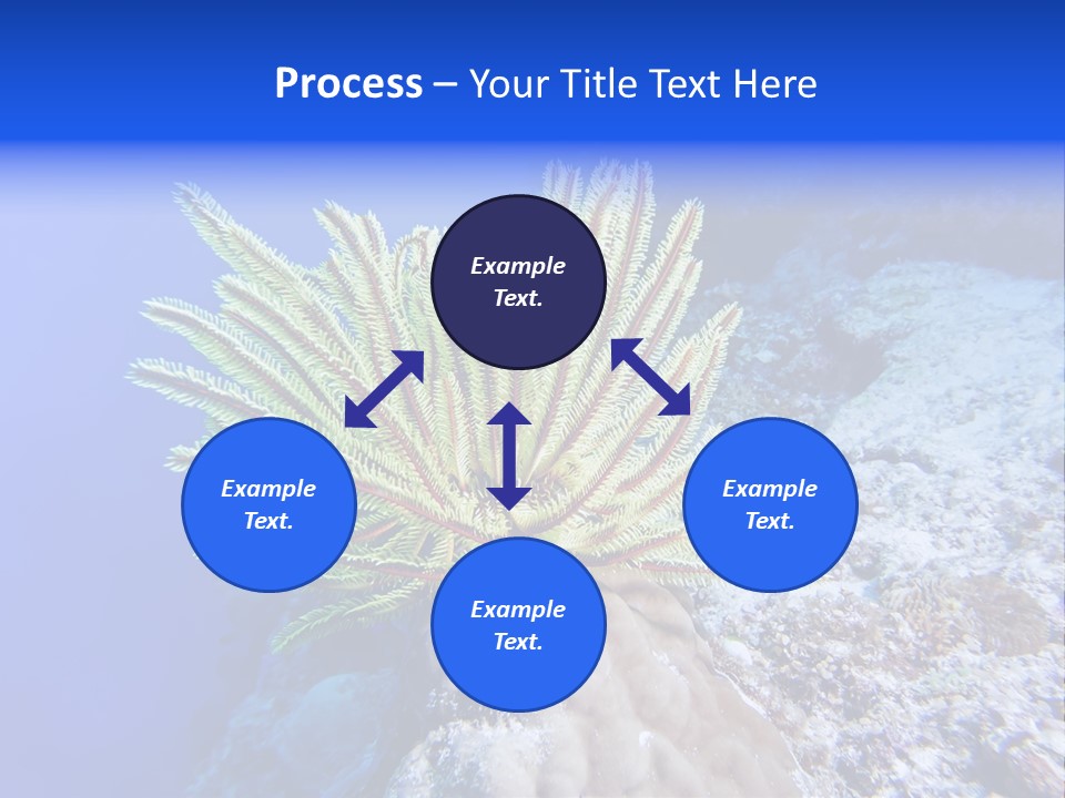 Undersea Colorful Soft PowerPoint Template