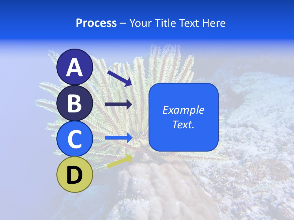Undersea Colorful Soft PowerPoint Template