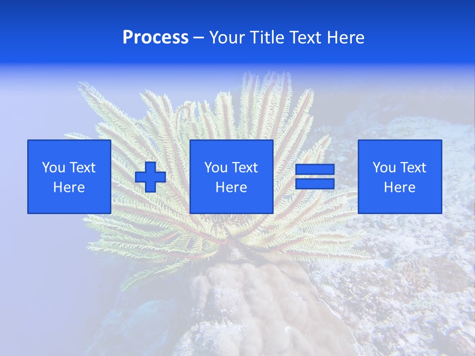 Undersea Colorful Soft PowerPoint Template