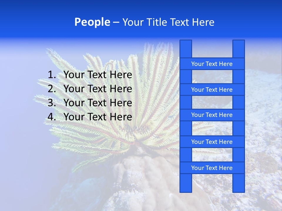 Undersea Colorful Soft PowerPoint Template