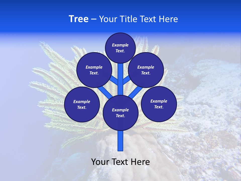 Undersea Colorful Soft PowerPoint Template