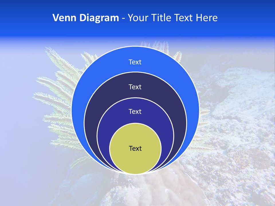 Undersea Colorful Soft PowerPoint Template