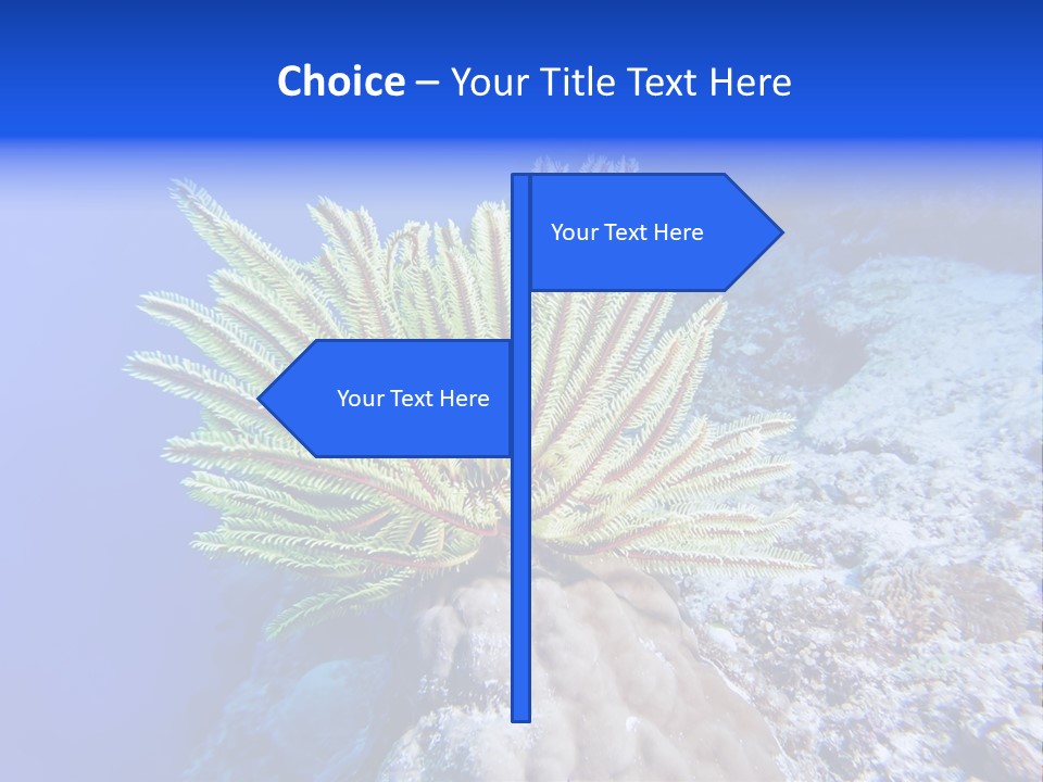 Undersea Colorful Soft PowerPoint Template