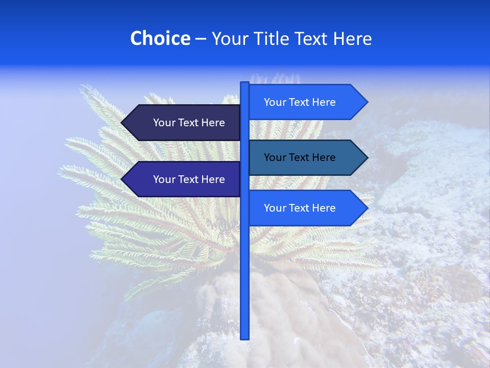 Undersea Colorful Soft PowerPoint Template
