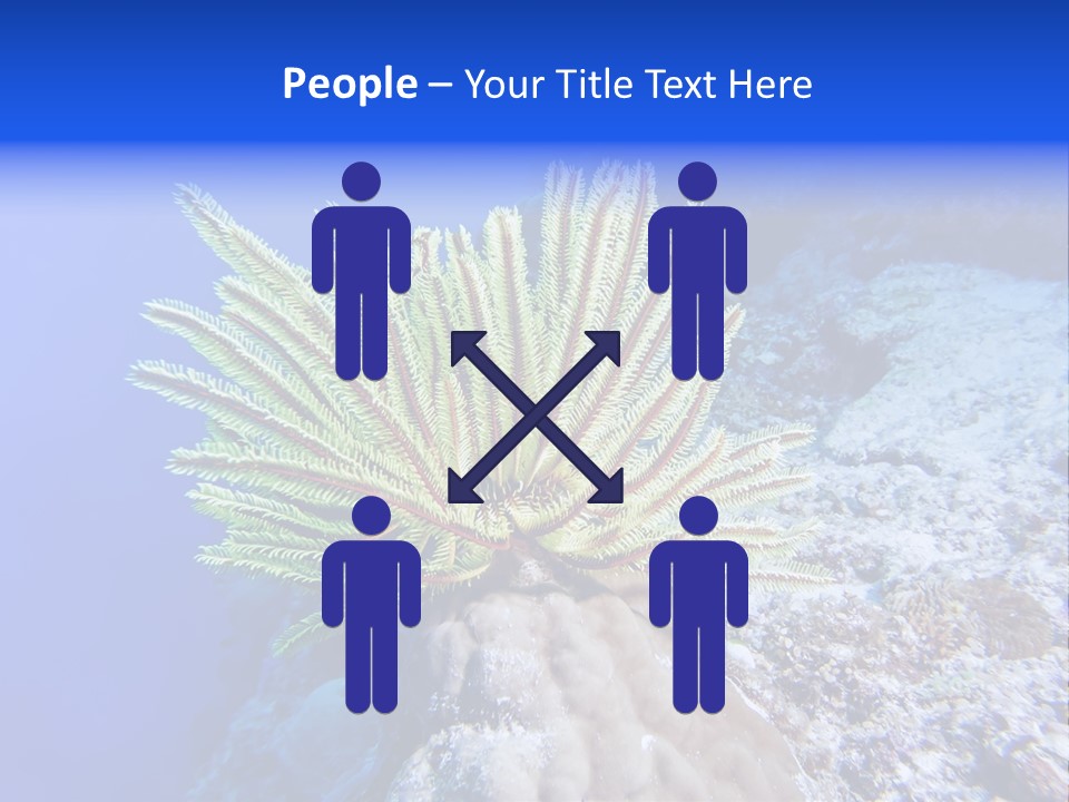 Undersea Colorful Soft PowerPoint Template