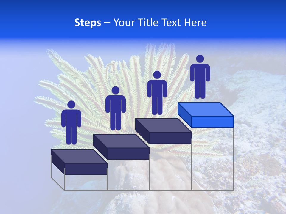 Undersea Colorful Soft PowerPoint Template