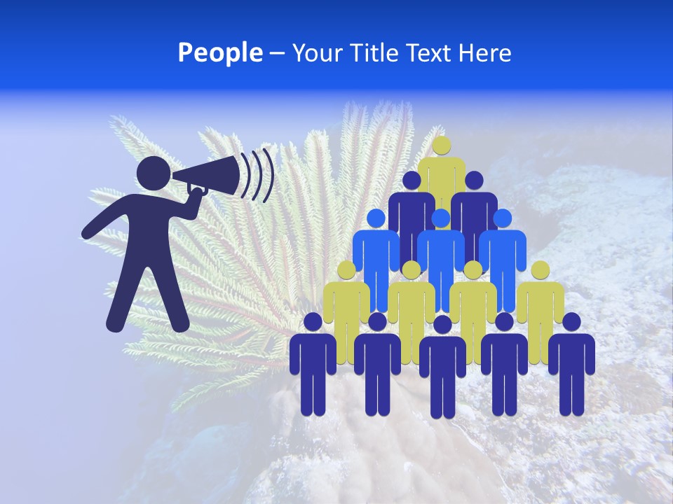 Undersea Colorful Soft PowerPoint Template