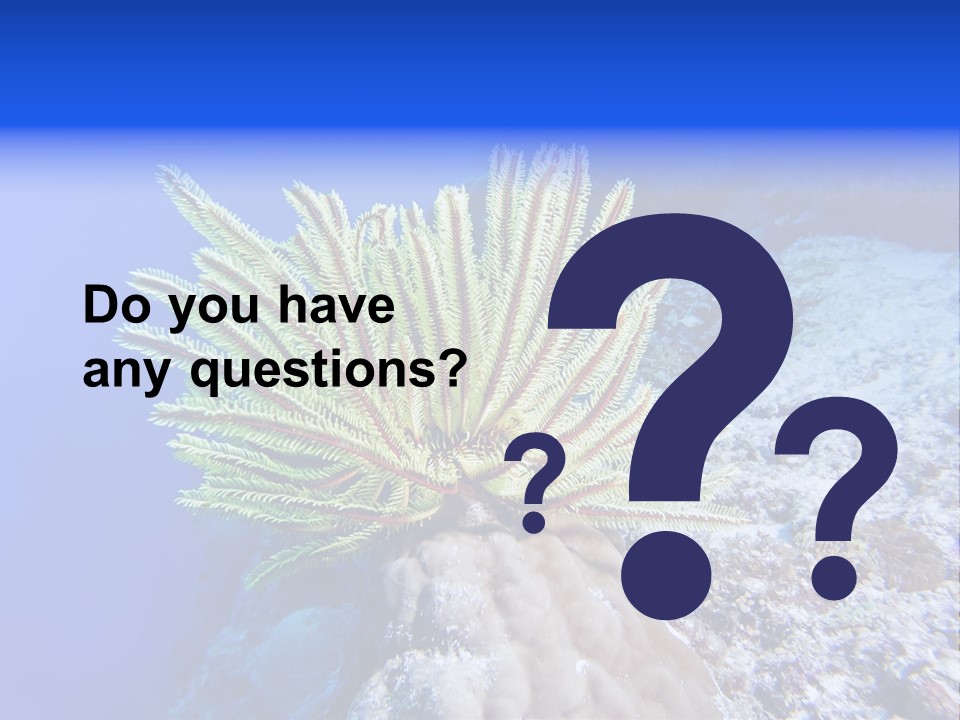 Undersea Colorful Soft PowerPoint Template