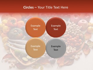 Lifestyle Plants Food Product PowerPoint Template