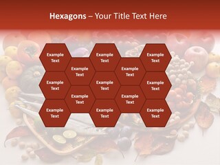 Lifestyle Plants Food Product PowerPoint Template