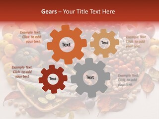 Lifestyle Plants Food Product PowerPoint Template