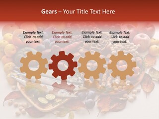 Lifestyle Plants Food Product PowerPoint Template