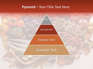 Lifestyle Plants Food Product PowerPoint Template