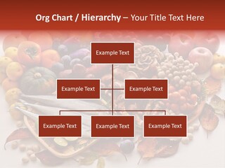 Lifestyle Plants Food Product PowerPoint Template