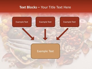 Lifestyle Plants Food Product PowerPoint Template