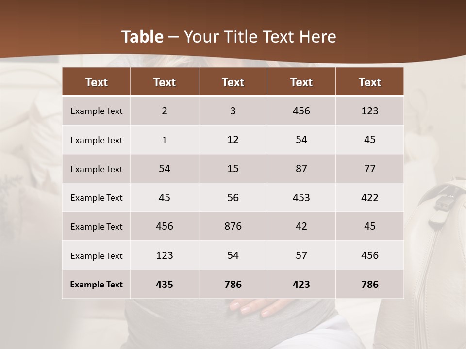 Bag Time Feeling PowerPoint Template