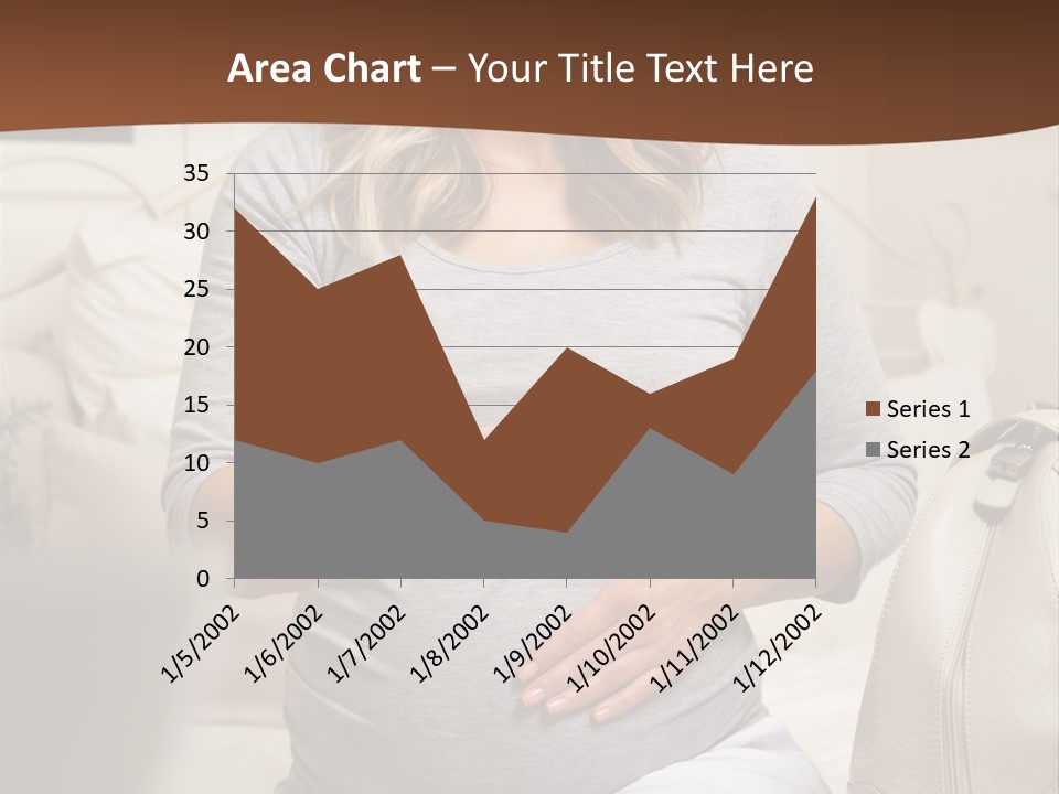 Bag Time Feeling PowerPoint Template