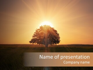 Botanic Orange Silhouette PowerPoint Template