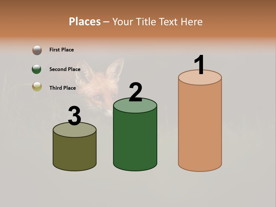 A Baby Fox In The Grass Powerpoint Template PowerPoint Template