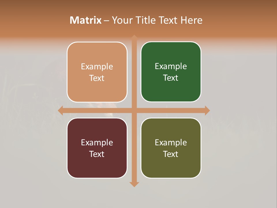 A Baby Fox In The Grass Powerpoint Template PowerPoint Template