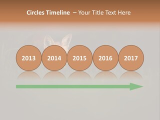 A Baby Fox In The Grass Powerpoint Template PowerPoint Template