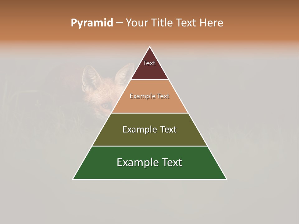 A Baby Fox In The Grass Powerpoint Template PowerPoint Template