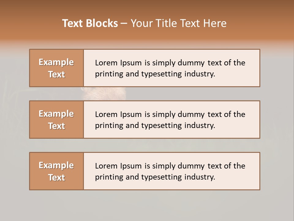 A Baby Fox In The Grass Powerpoint Template PowerPoint Template