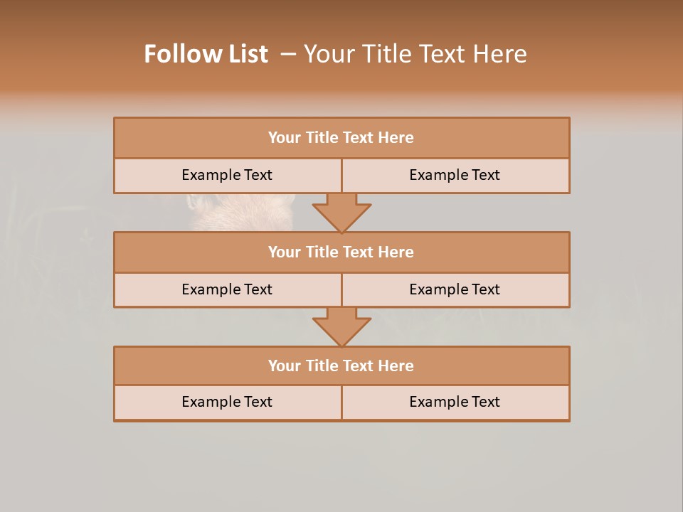 A Baby Fox In The Grass Powerpoint Template PowerPoint Template