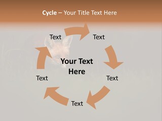 A Baby Fox In The Grass Powerpoint Template PowerPoint Template