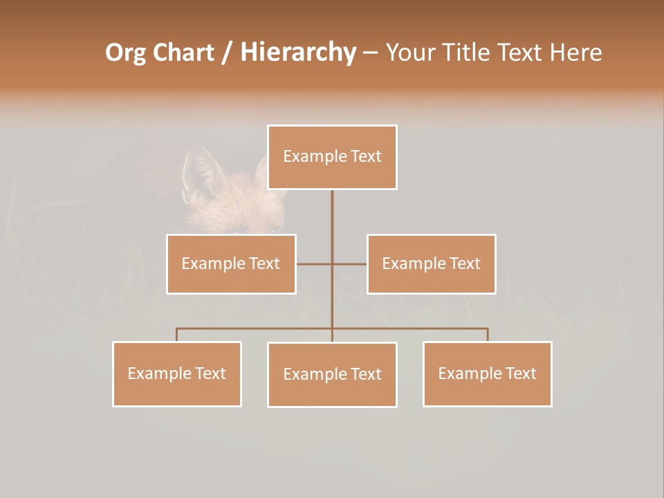 A Baby Fox In The Grass Powerpoint Template PowerPoint Template