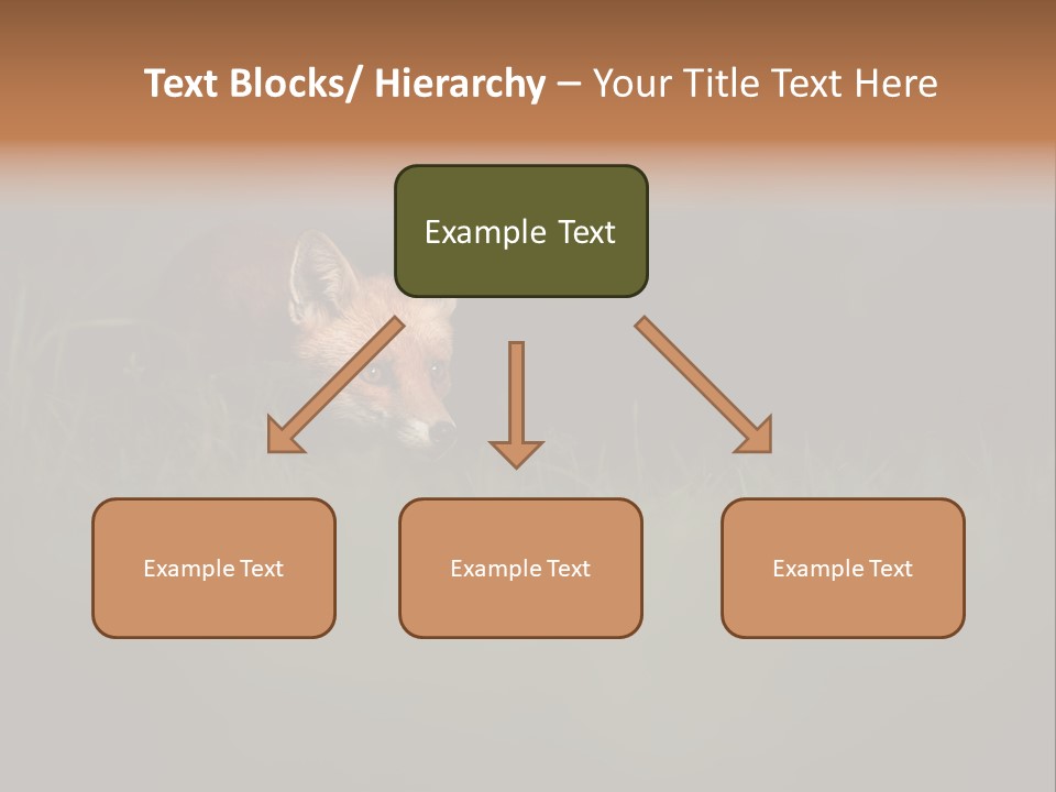 A Baby Fox In The Grass Powerpoint Template PowerPoint Template