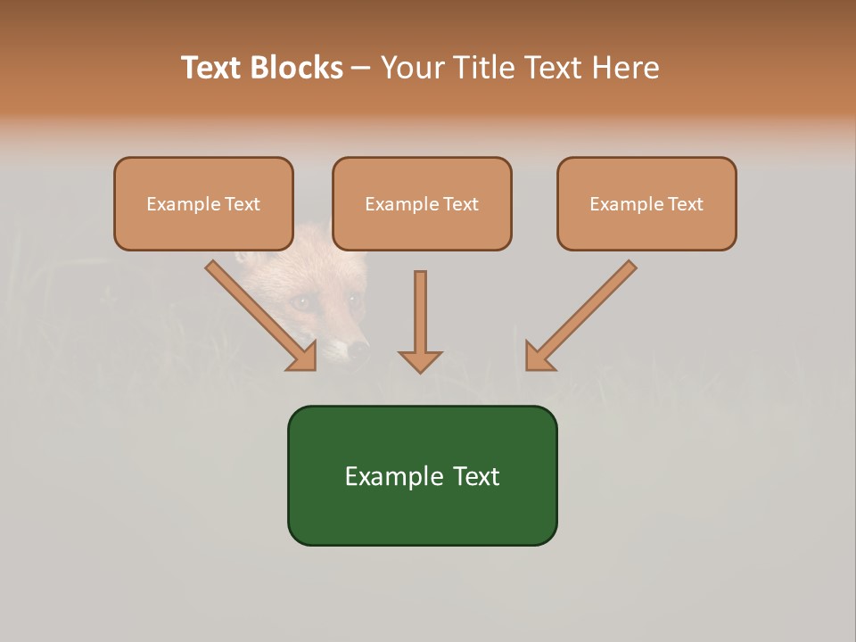 A Baby Fox In The Grass Powerpoint Template PowerPoint Template