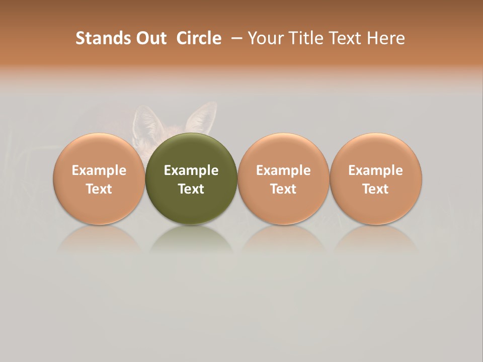 A Baby Fox In The Grass Powerpoint Template PowerPoint Template