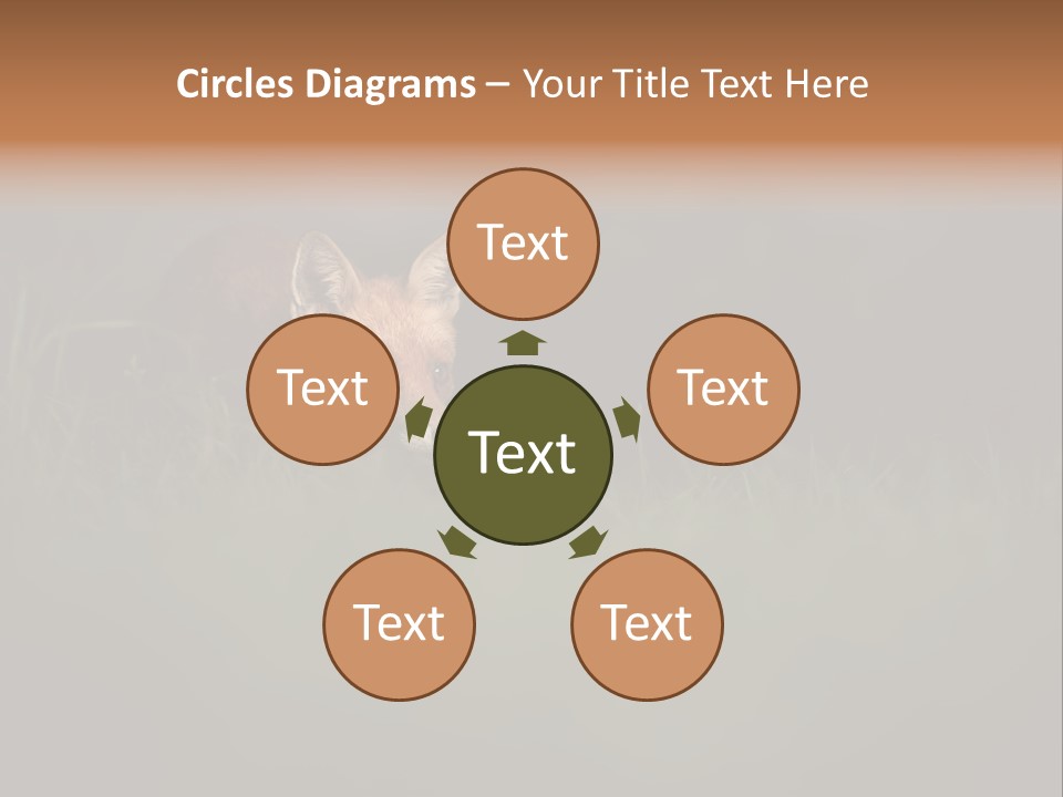 A Baby Fox In The Grass Powerpoint Template PowerPoint Template