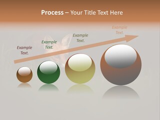 A Baby Fox In The Grass Powerpoint Template PowerPoint Template