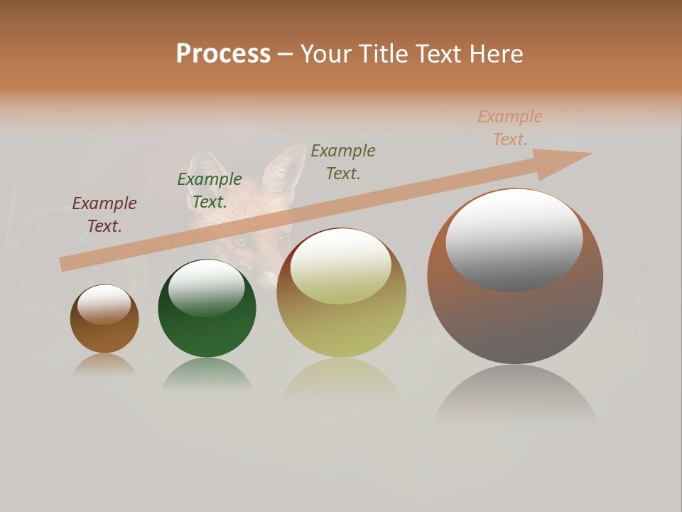 A Baby Fox In The Grass Powerpoint Template PowerPoint Template