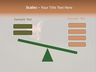 A Baby Fox In The Grass Powerpoint Template PowerPoint Template