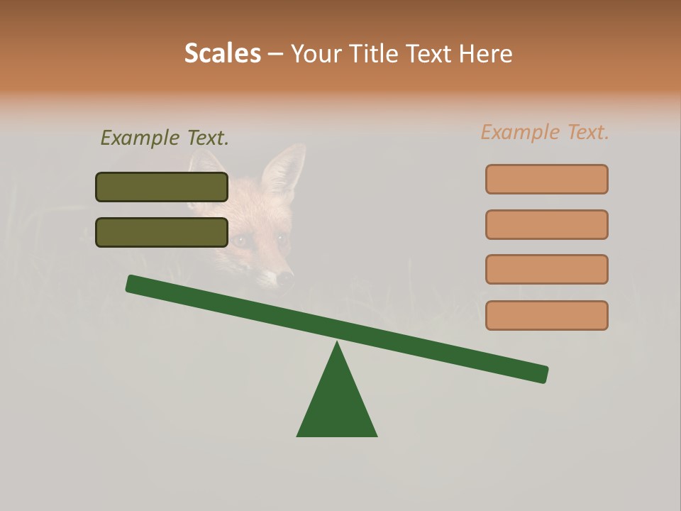 A Baby Fox In The Grass Powerpoint Template PowerPoint Template