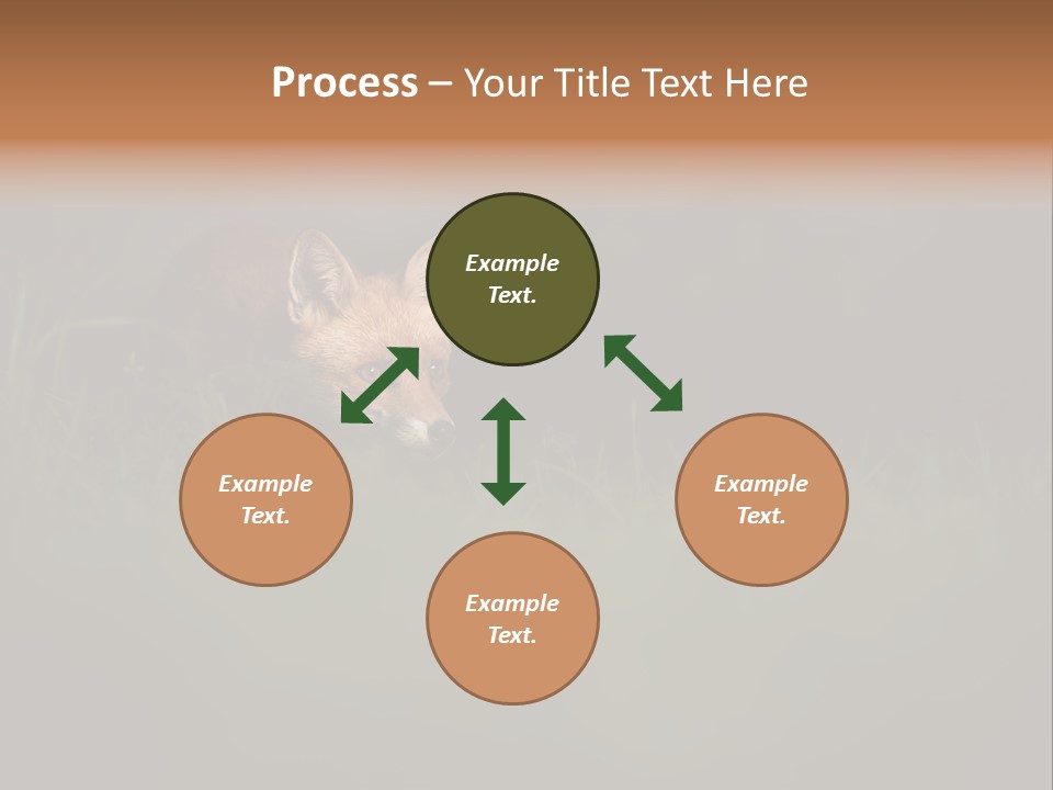 A Baby Fox In The Grass Powerpoint Template PowerPoint Template