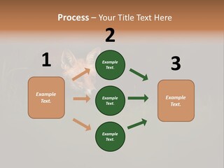 A Baby Fox In The Grass Powerpoint Template PowerPoint Template