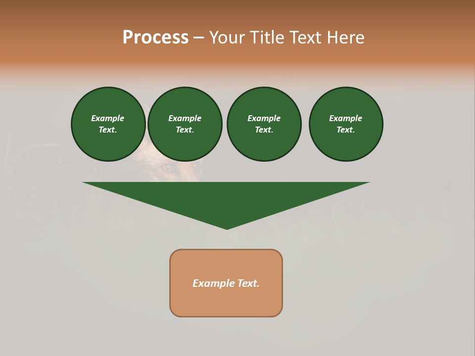A Baby Fox In The Grass Powerpoint Template PowerPoint Template