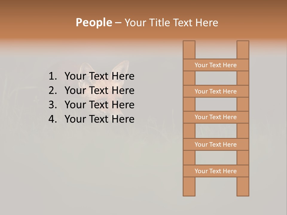 A Baby Fox In The Grass Powerpoint Template PowerPoint Template