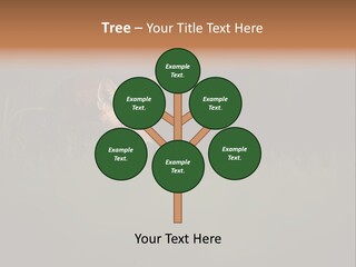 A Baby Fox In The Grass Powerpoint Template PowerPoint Template